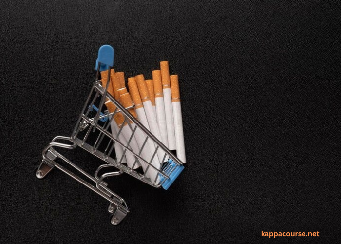 From Click to Doorstep: Understanding Online Cigarette Shop Delivery Services