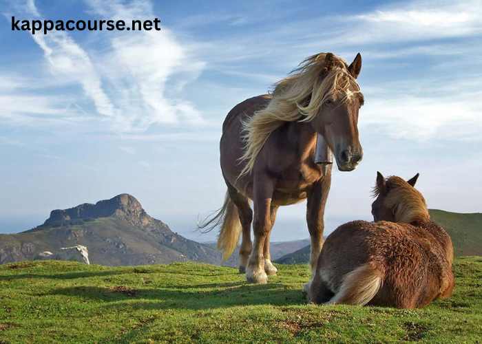 The Majestic Journey: Understanding the Evolution and Impact of Horses Through History