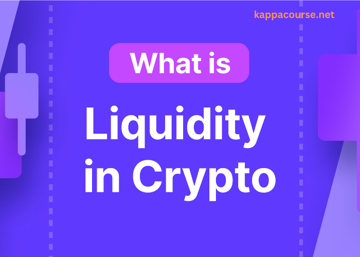 Market Liquidity's Influence on Bitcoin ROI