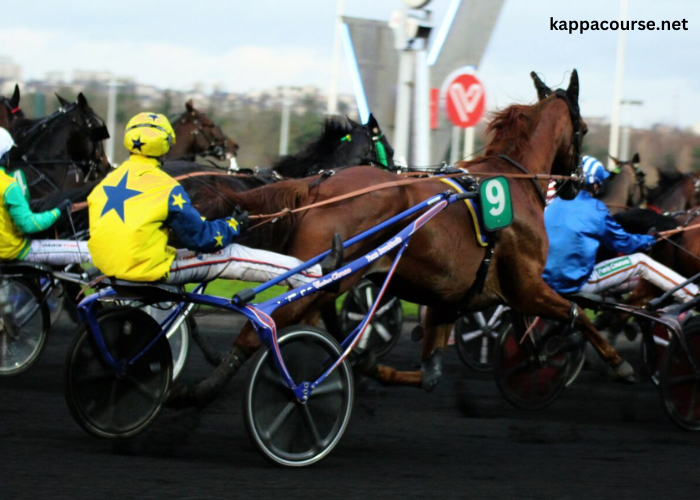 Meilleur Pronostic 3 Chevaux