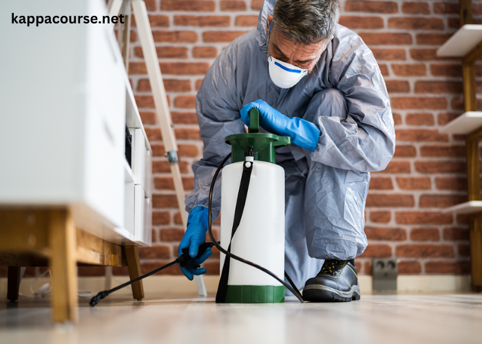 Preventative Pest Control Tips for Cleveland Apartments and Rentals