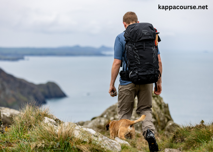 The Ultimate Hiking Backpack Buying Guide:Features, Fit, and Function