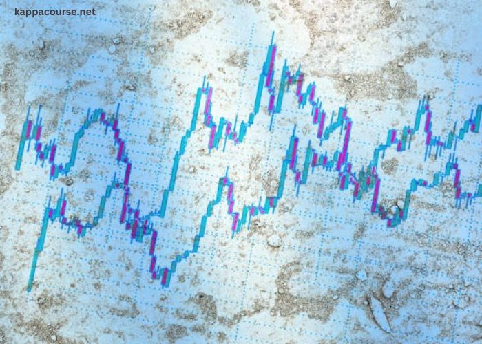 What Makes Stockity Great for Both Beginners and Pros